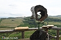 VBS_3251 - Mango (Cuneo) - Gnomovia
